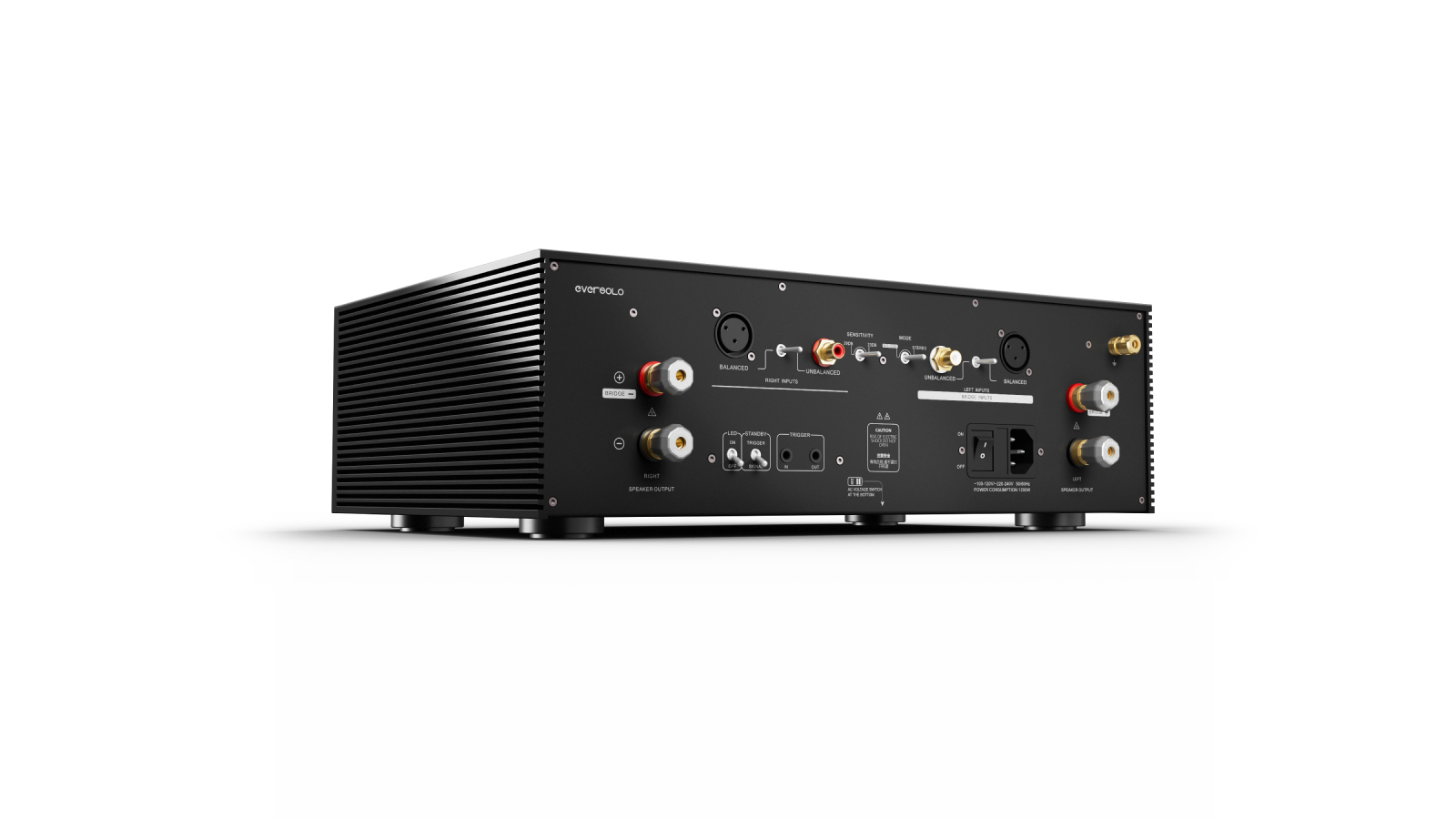 Eversolo AMP-F8 - Bild 4